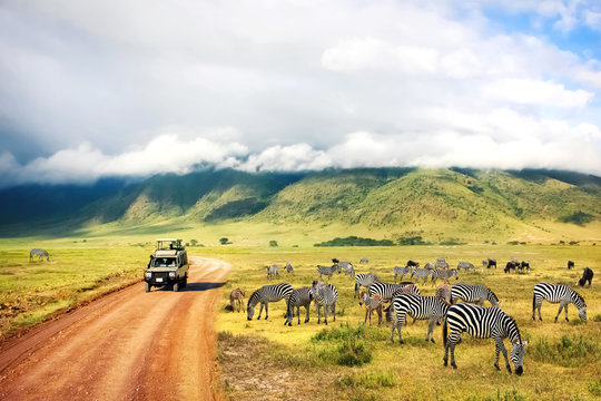 Tanzania image: Ngorongoro 2